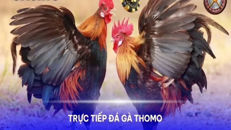 tt-da-ga-thomo-avatar